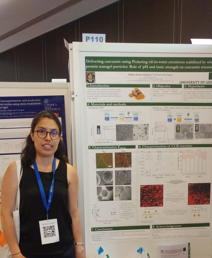 Novel results on Pickering emulsions presented at the 8th DOF Conference, Porto by PhD Students