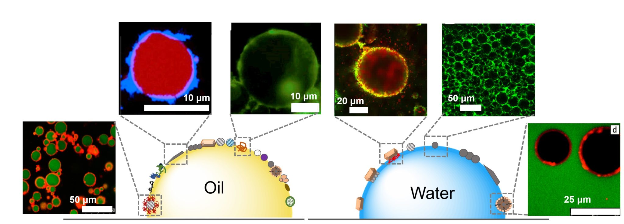 pickering emulsion stabilized by nanocomplex