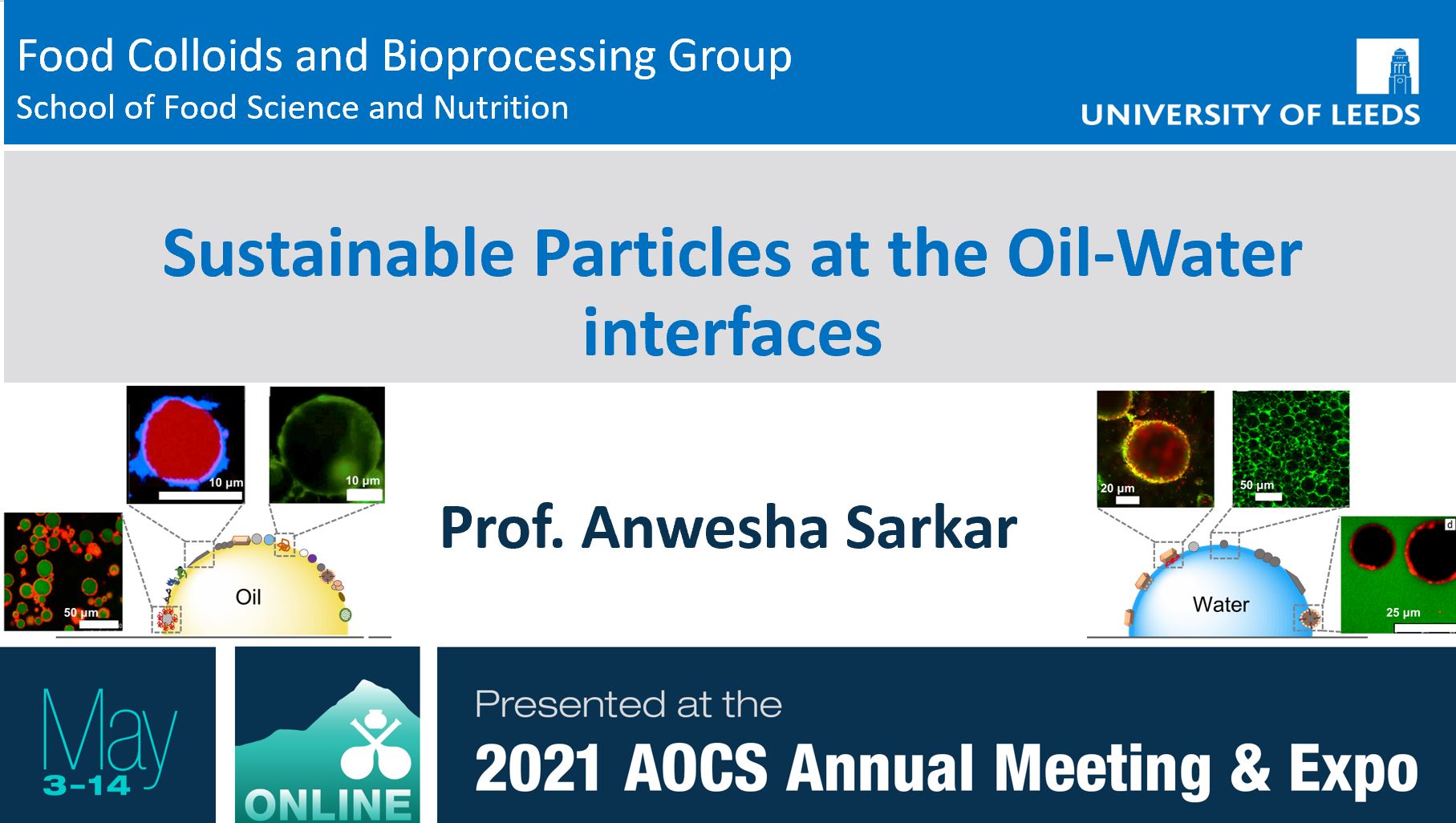 Prof. Sarkar gave a keynote lecture at the 2021 AOCS Annual Meeting & Expo
