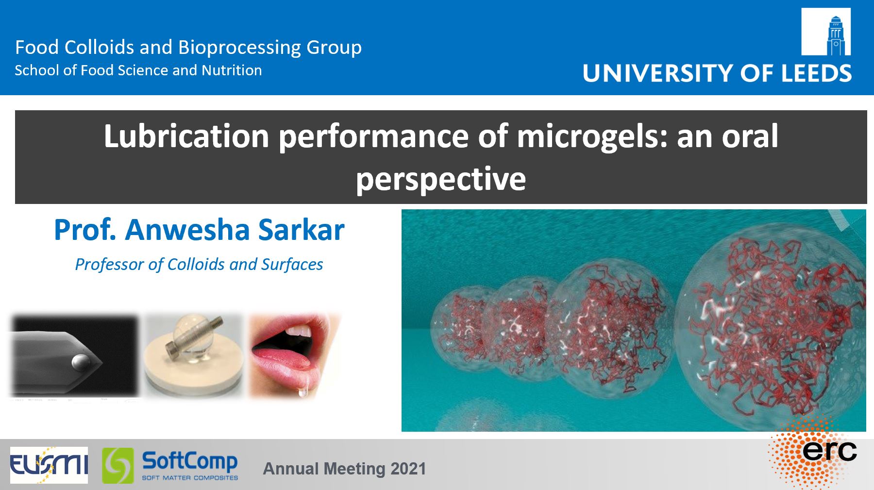 Prof. Sarkar gave a plenary lecture at the Joint EUSMI/SoftComp Annual Meeting 2021