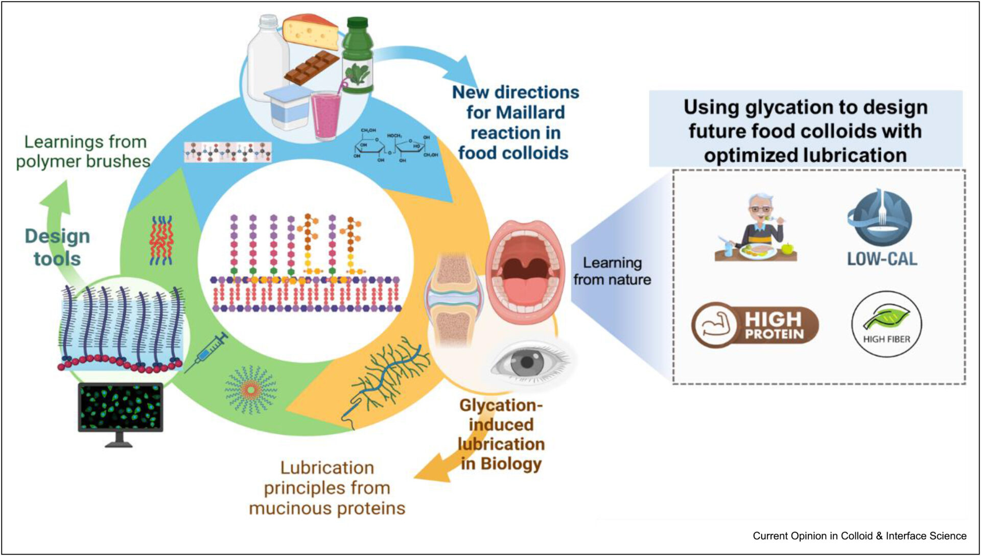 New review paper on glycation to address sensorial issues in alternative proteins