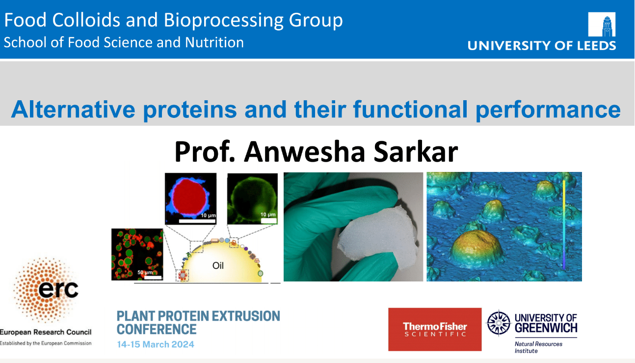 Prof. Sarkar gave a keynote speech at the Plant Protein Extrusion Conference, UK