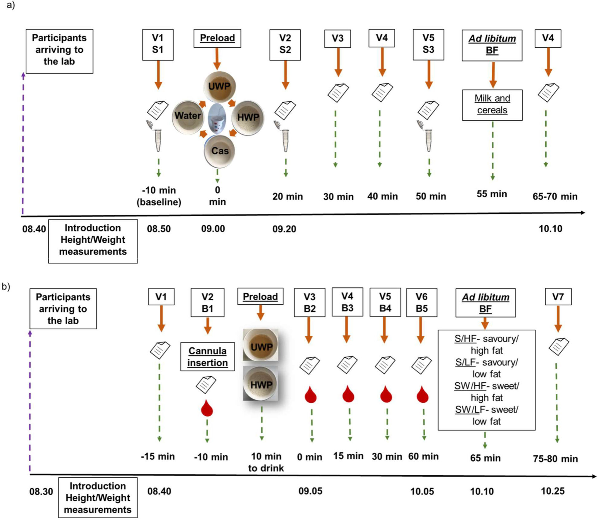 New Paper in Phyisology and Behaviour published by Dr. Ecaterina Stribițcaia