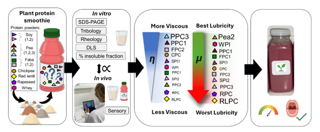 Dr. Ben Kew publishes in paper on tribology and mouthfeel of smoothies in Food Hydrocolloids